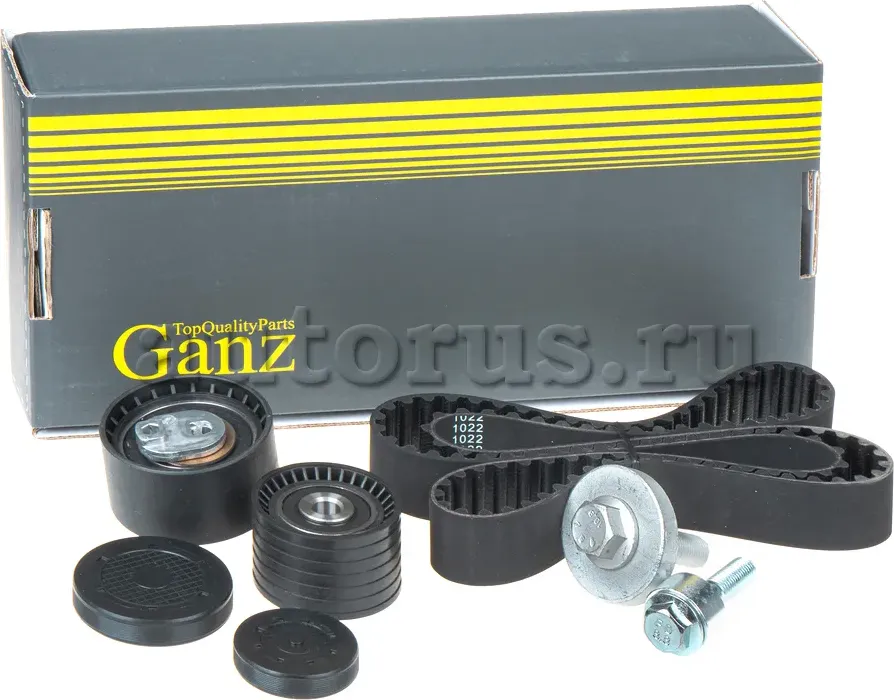 Ремкомплект ГРМ (Ganz) Ganz. Артикул GIE34021