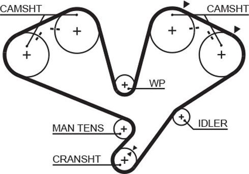 Ремень ГРМ Gates (HNBR (Hydrierter Acryl-Nitril-Butadien-Kautschuk)). Артикул 5442XS