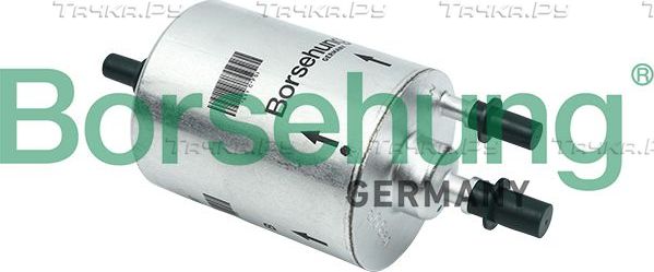 Топливный фильтр Borsehung для Audi S8 II (D3) 2006-2010. Артикул B12792