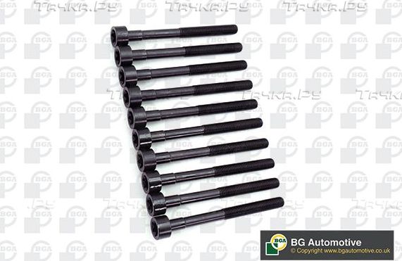 Комплект болтов ГБЦ BGA для Ford Fiesta IV 1995-2002. Артикул BK6383