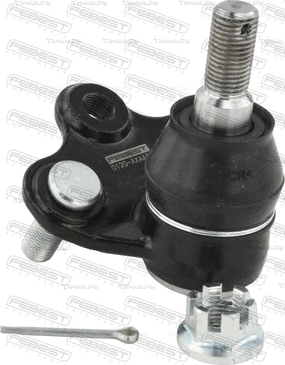 Шаровая опора Febest нижняя для Toyota RAV4 V (XA50) 2018-2026. Артикул 0120-AXAA54