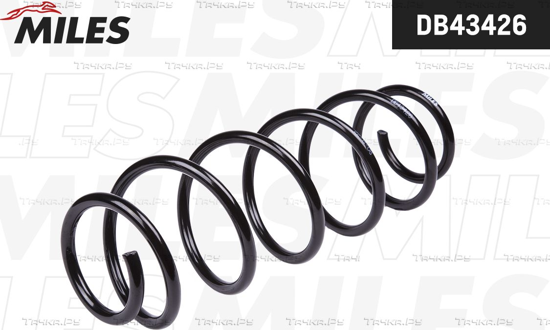 Пружина подвески Miles задняя для Renault Laguna III 2007-2015. Артикул DB43426
