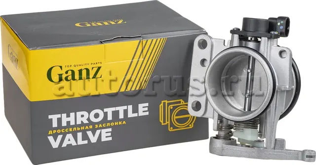 Дроссельная заслонка RENAULTMegane Clio MK2, Scenic, Laguna, GANZ GIG333026 Ganz. Артикул GIG333026