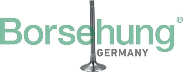 Впускной клапан Borsehung. Артикул B19024