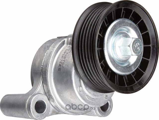 Натяжной ролик (натяжитель) приводного поликлинового ремня General Motors. Артикул 12609719