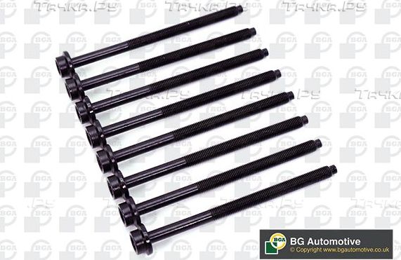 Комплект болтов ГБЦ BGA для Volkswagen Caddy II 2000-2004. Артикул BK3362