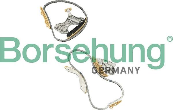 Цепь ГРМ Borsehung. Артикул B18844