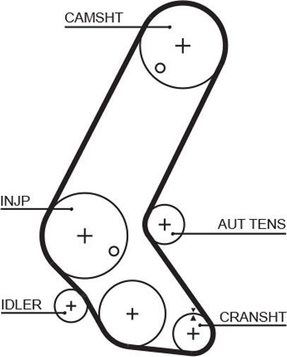 Ремень ГРМ Gates (HNBR (Hydrierter Acryl-Nitril-Butadien-Kautschuk)). Артикул 5595XS