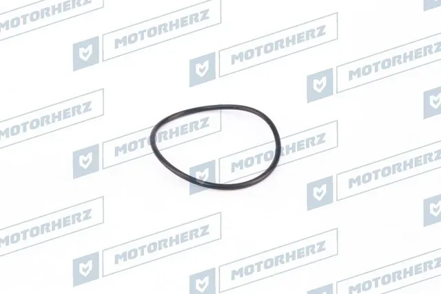 Кольцо рулевой рейки (Motorherz). Артикул HR0041