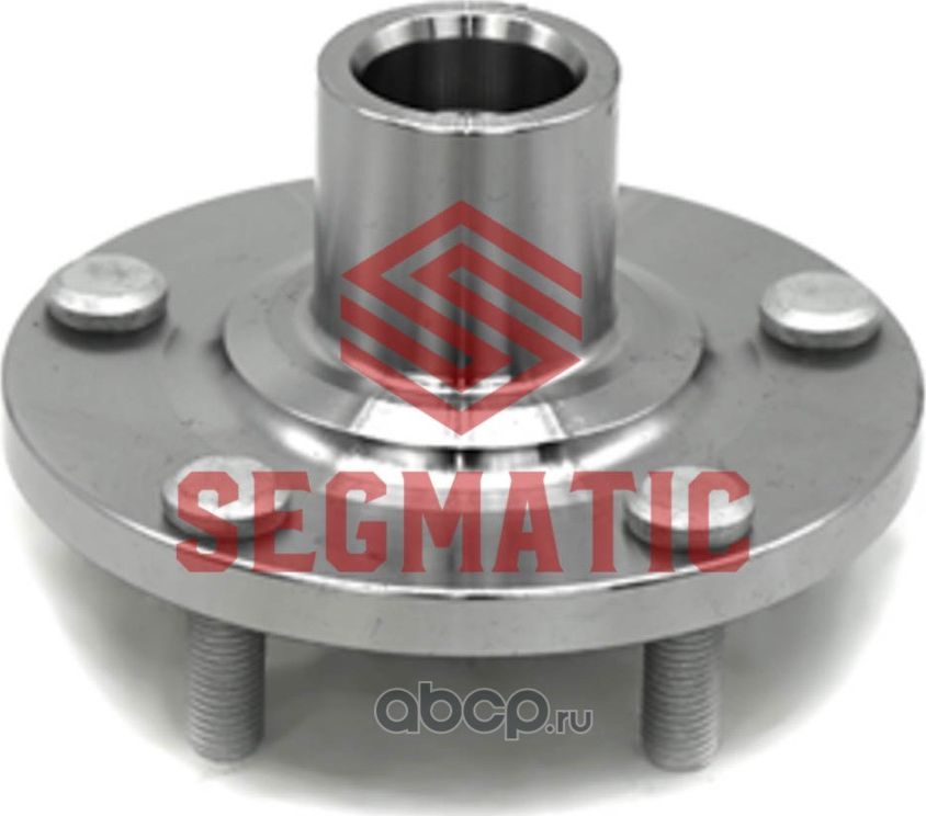 Ступица колеса (Segmatic). Артикул SGWH30204199