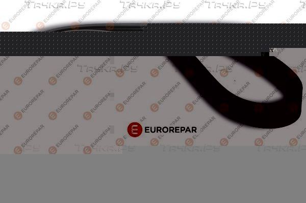Приводной ремень поликлиновой Eurorepar (резина) для Ford Transit Custom I 2018-2019. Артикул 1612160780