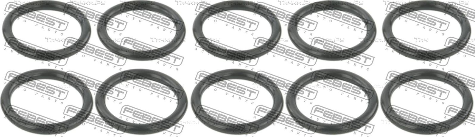 Кольцо форсунки уплотнительное Febest для BMW 6 II (E63/E64) 2003-2010. Артикул RINGFL-041-PCS10