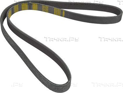 Приводной ремень поликлиновой Zentparts для Ford Focus II 2004-2012. Артикул Z23178
