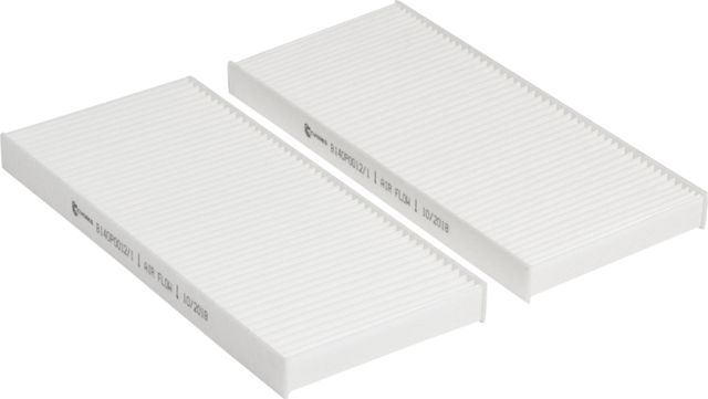 Салонный фильтр Cworks. Артикул B140P0012