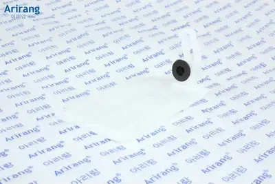 Фильтр топливозаборника (Arirang). Артикул CT9