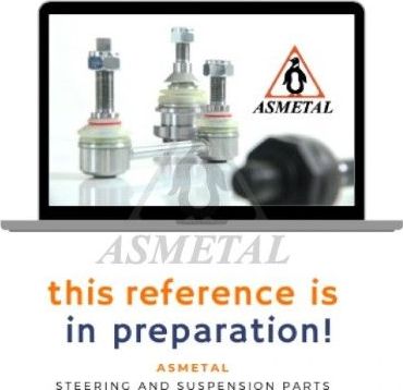 Наконечник рулевой тяги Asmetal. Артикул 17AU2601