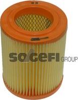 Воздушный фильтр Fram. Артикул CA9493