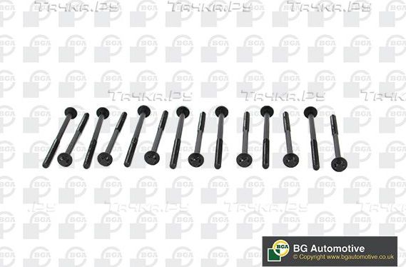 Комплект болтов ГБЦ BGA для BMW X6 III (G06) 2019-2026. Артикул BK2305