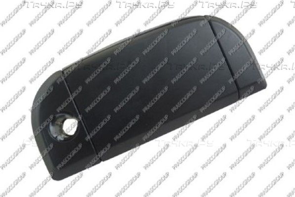 Ручка двери Prasco. Артикул VG9138001