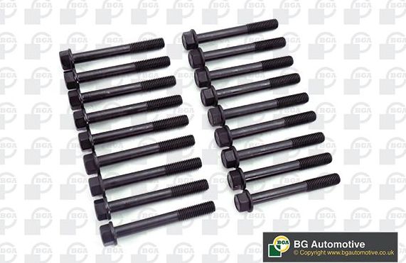 Комплект болтов ГБЦ BGA для Ford Transit V 1994-2000. Артикул BK6313