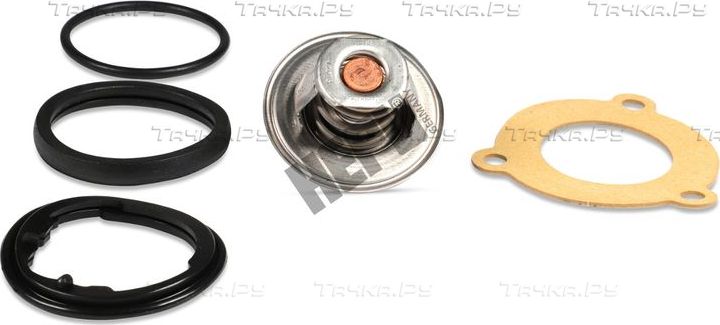 Термостат Hepu для Audi TT II (8J) 2008-2009. Артикул TM1306