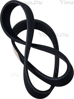 Приводной ремень поликлиновой Zentparts для SEAT Leon II 2006-2012. Артикул Z22574
