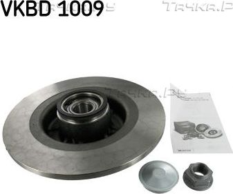 Тормозной диск SKF задний для Renault Scenic II 2003-2009. Артикул VKBD 1009
