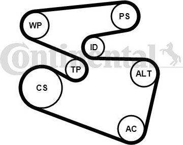 Приводной ремень поликлиновой с роликами (комплект) ContiTech для Ford Escort V 1995-2000. Артикул 6PK1555K3