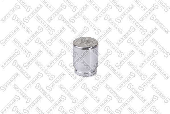 Поршень тормозного суппорта Stellox. Артикул 04-98319-SX