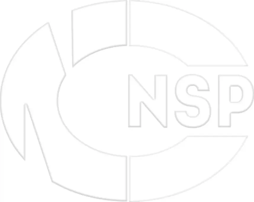 Ролик поликлинового ремня направляющий (NSP). Артикул NSP0124436052