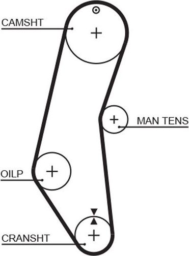 Ремень ГРМ Gates (Полихлоропрен (неопрен)). Артикул 5018