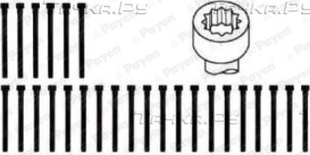 Комплект болтов ГБЦ Payen для PUCH G-modell W463 1996-2000. Артикул HBS063