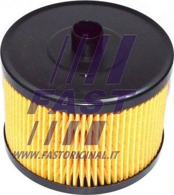 Топливный фильтр Fast для Ford Kuga I 2008-2012. Артикул FT39076