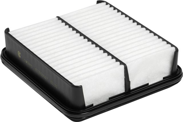 Воздушный фильтр Cworks. Артикул B130G0067