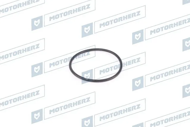 Кольцо рулевой рейки (Motorherz). Артикул HR0333