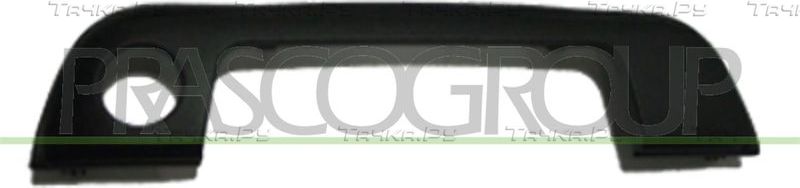 Ручка двери Prasco. Артикул BM0148702