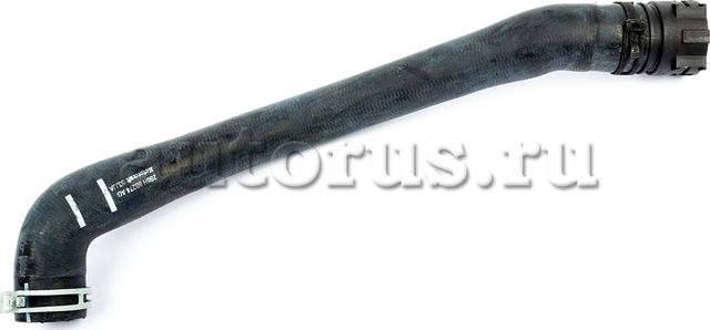 Патрубок радиатора (системы охлаждения) Ford. Артикул 1528662