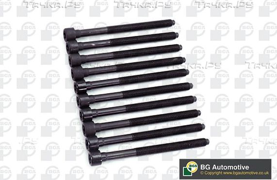 Комплект болтов ГБЦ BGA для SEAT Toledo III 2005-2005. Артикул BK3385