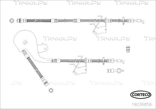 Тормозной шланг Corteco передний правый для Citroen C5 II 2008-2017. Артикул 19036856