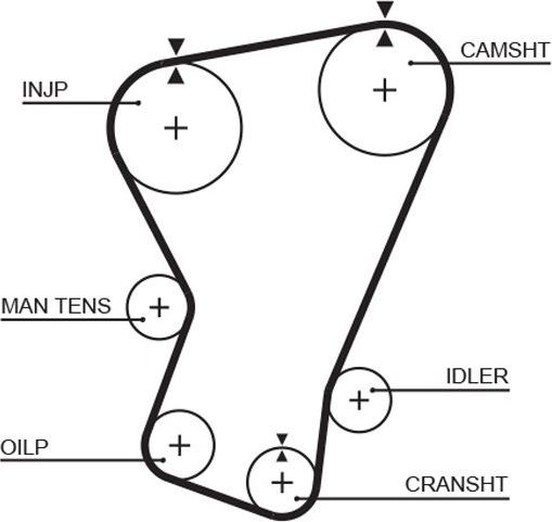 Ремень ГРМ Gates (Полихлоропрен (неопрен)) для Fiat 127 1981-1986. Артикул 5071