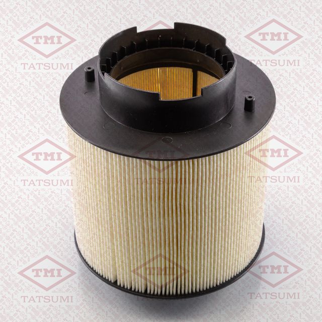 Фильтр воздушный AUDI A6 04- 3.0TDI (Tatsumi). Артикул TBC1001