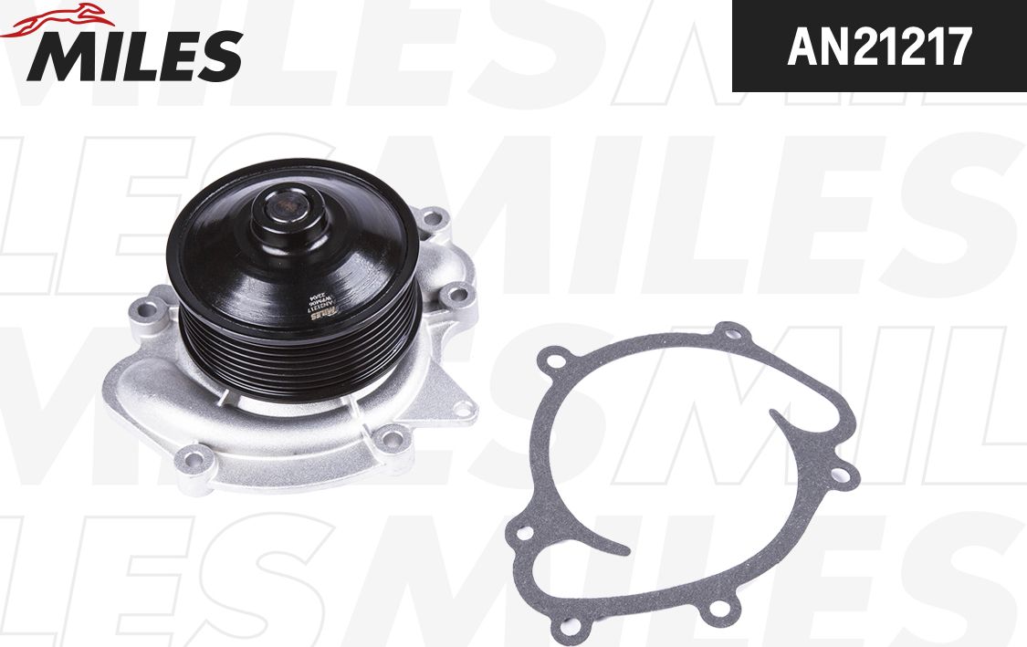 Помпа (водяной насос) Miles. Артикул AN21217