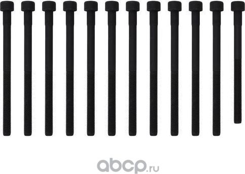 КОМПЛЕКТ БОЛТОВ ГБЦ SSANG YONG ACTYON ACTYON SPORT KYRON REXTON 11 * (Zikmar). Артикул Z16528R