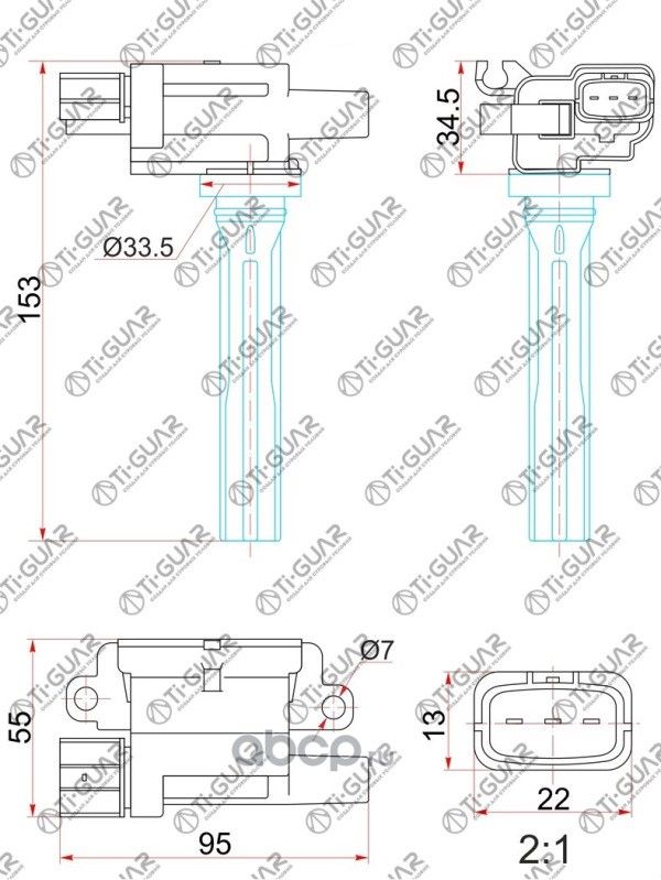 Катушка зажигания (TI-Guar). Артикул TG3341066D01