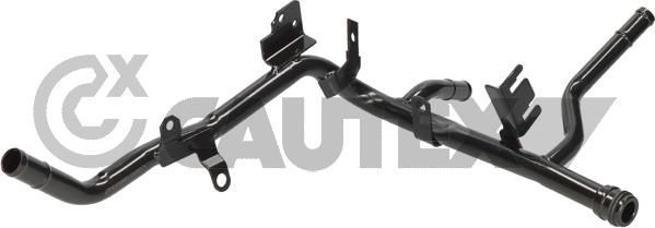 Патрубок радиатора (системы охлаждения) Cautex для Audi A3 I (8L) 2000-2003. Артикул 757061