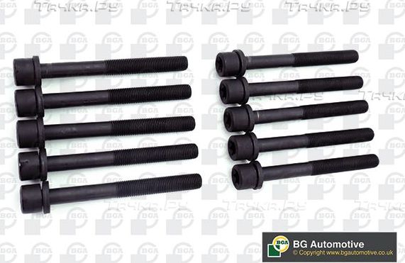 Комплект болтов ГБЦ BGA для Daewoo Nubira III 2003-2004. Артикул BK5320