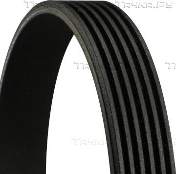 Приводной ремень поликлиновой ContiTech. Артикул 6PK1102 EXTRA