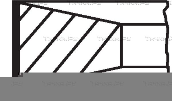Поршневые кольца Mahle для DAF 45 1995-2000. Артикул 213 25 N0