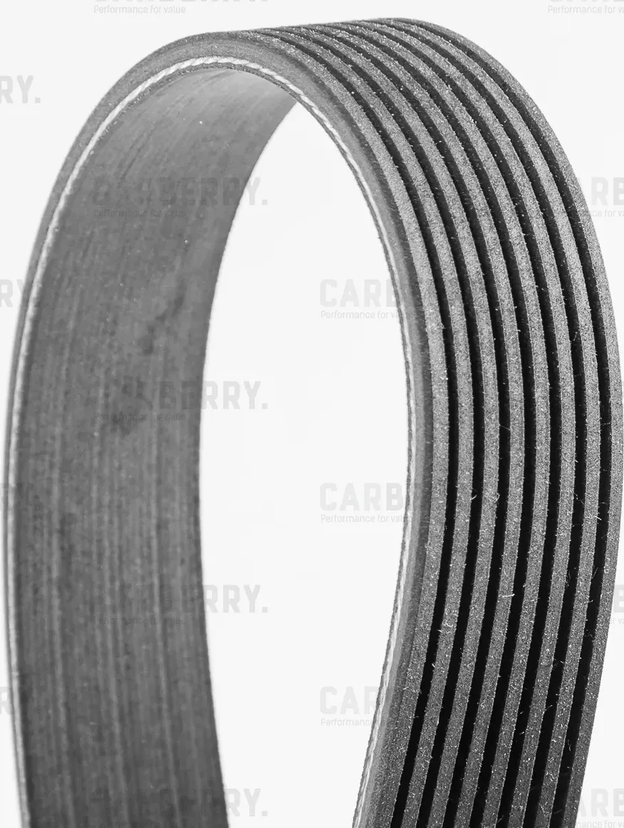 Ремень поликлиновой CARBERRY Carberry. Артикул 8PK2410