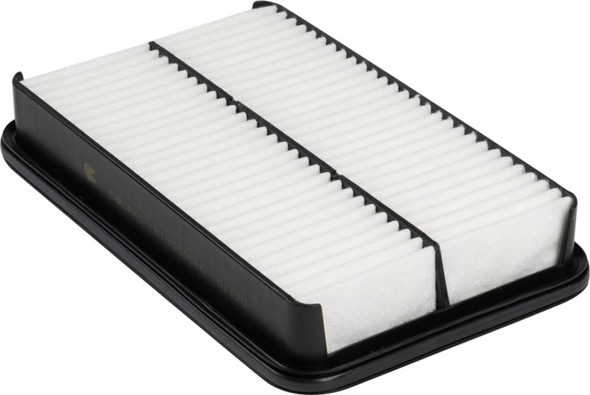 Воздушный фильтр Cworks. Артикул B130G0066